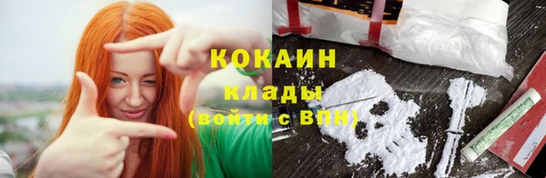 гашик Гусь-Хрустальный