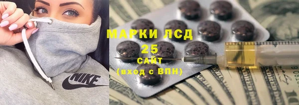 индика Гусев