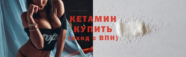 индика Гусев