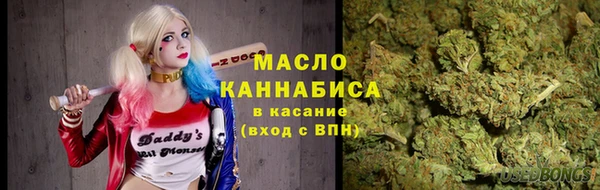гашик Гусь-Хрустальный
